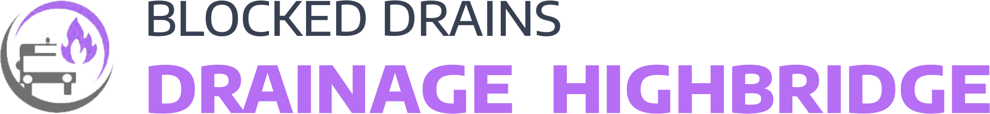 website logo